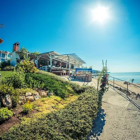 Premier - Premium * 圣弗拉斯